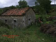 Molino